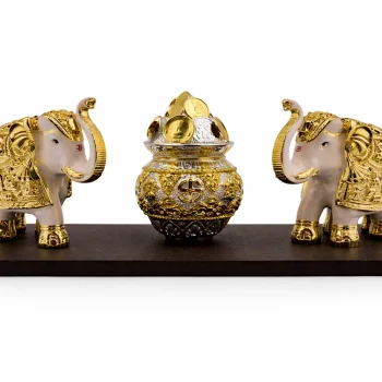 999 Pure Silver Vastuhati set