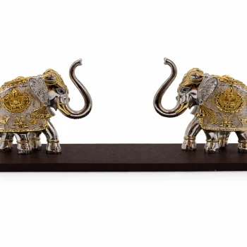 999 Pure Silver Vastu Hati Set