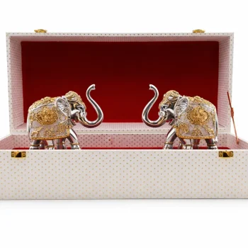 999 Pure Silver Vastu Hati Set